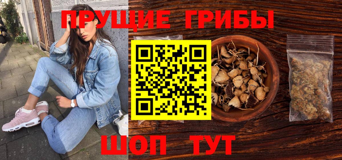 Псилоцибиновые грибы Psilocybe  Вход с VPN  цена наркотик  Псилоцибиновые грибы мицелий  Королёв 